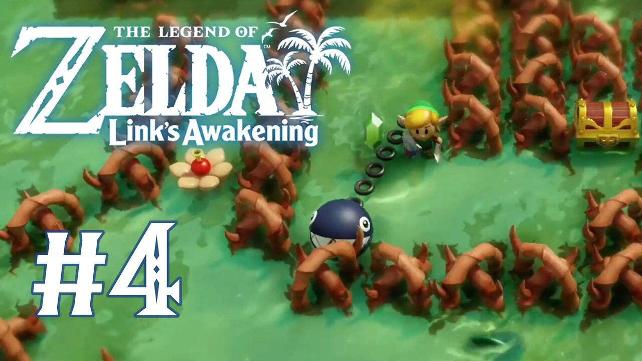 The Legend of Zelda: Link's Awakening (2019) - BowWow Goes To Bottle Grotto