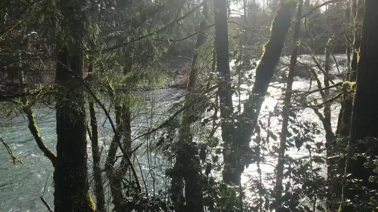 Clackamas River in December.