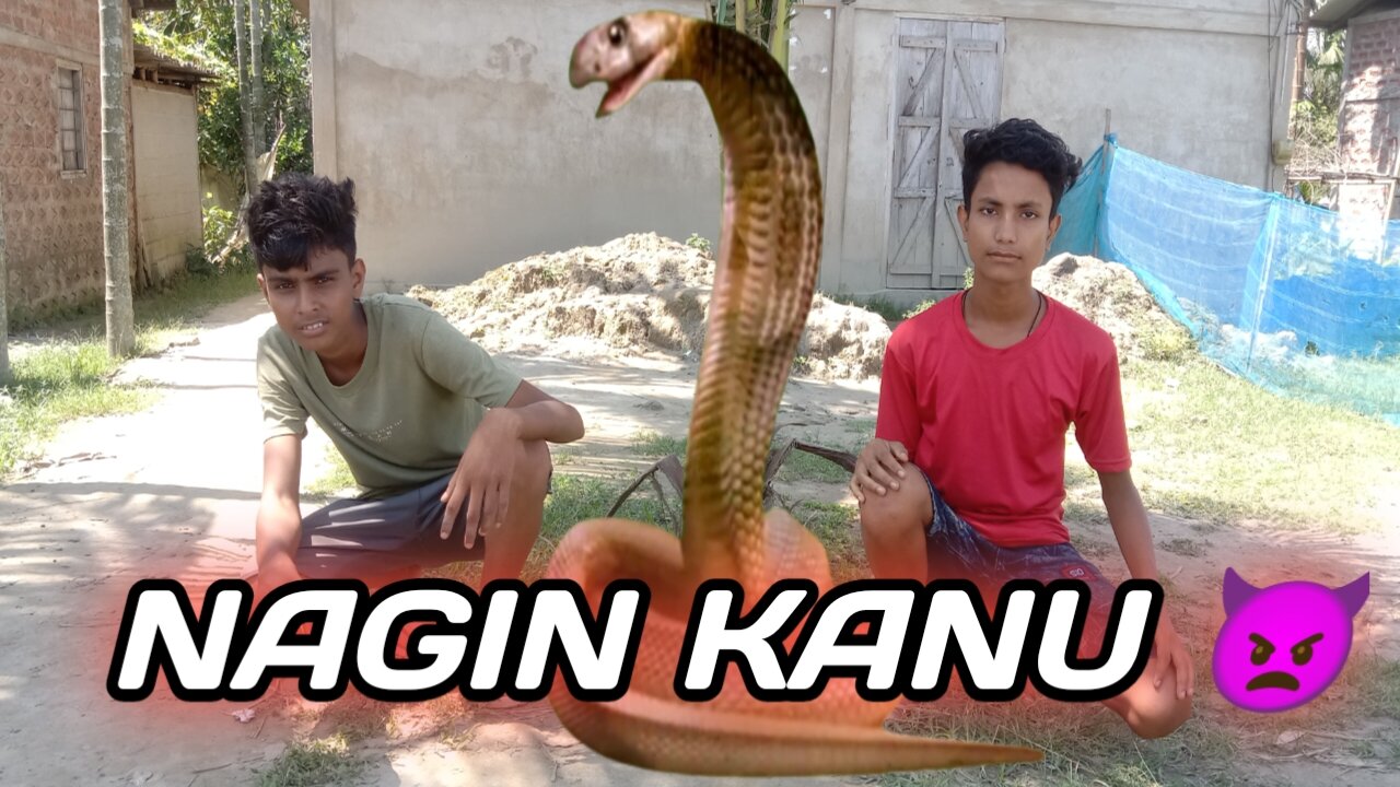 NAGIN KANU