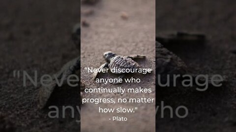 Never Discourage