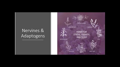 Nervines - Herbs for Stress, Anxiety & The Nervous System