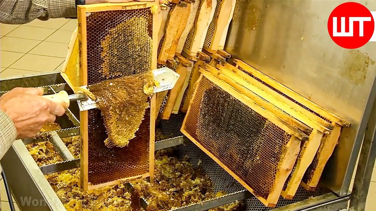 How It's Made Honey - Honey Cultivation and Processing