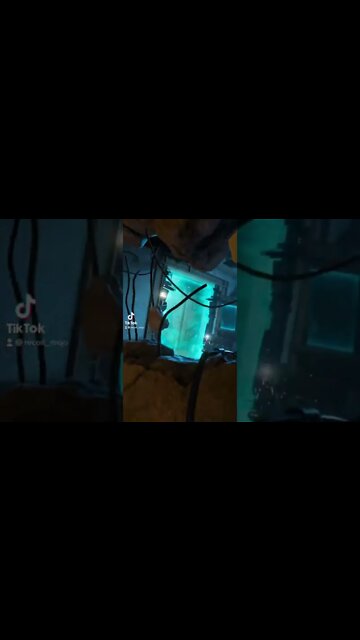 Half Life Alyx VR Ant Lions Zombies & Combine Overwatch Soldiers TikTok Virtual Reality Gaming Clips