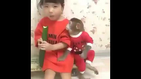 funnyanimal_videos 🐵😍