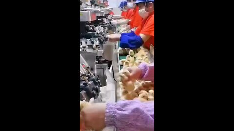 government chicken shots