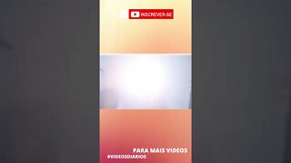 Passarinho aprendeu com o Goku! Veja! #shorts