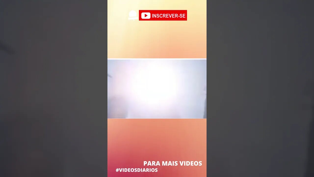 Passarinho aprendeu com o Goku! Veja! #shorts
