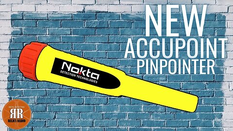 INTERVIEW WITH NOKTA: Insights into the Development of the NEW Accupoint Pinpointer - Beta Version