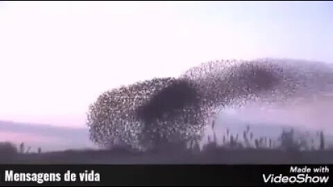 De Deus ninguém escapa