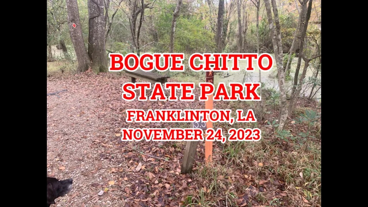 Bogue Chitto State Park- Gorge Run Trail