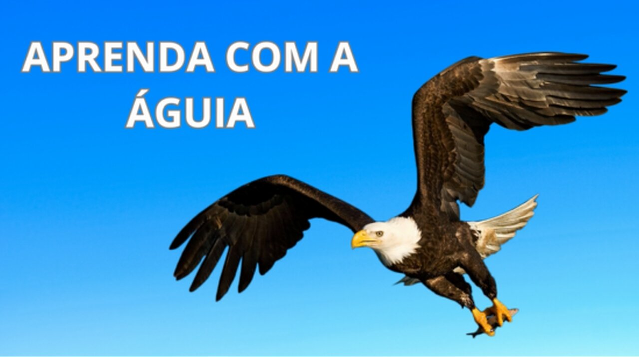 Seja como uma águia