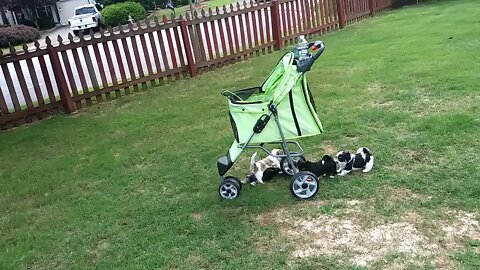 I Litter- Outside 1st Time(1)