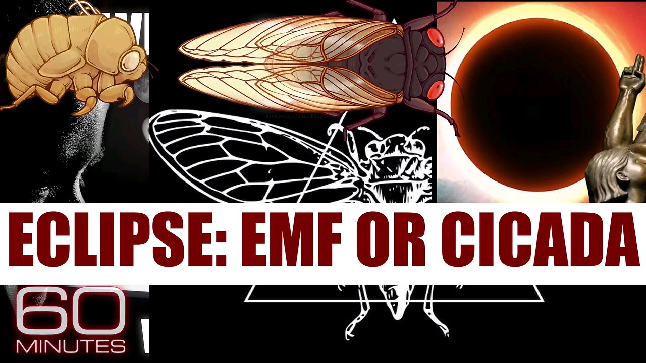 🪳🌓 ECLIPSE: EMF OR CICADA With all this talk about the eclipse we all know it’s not the eclipse