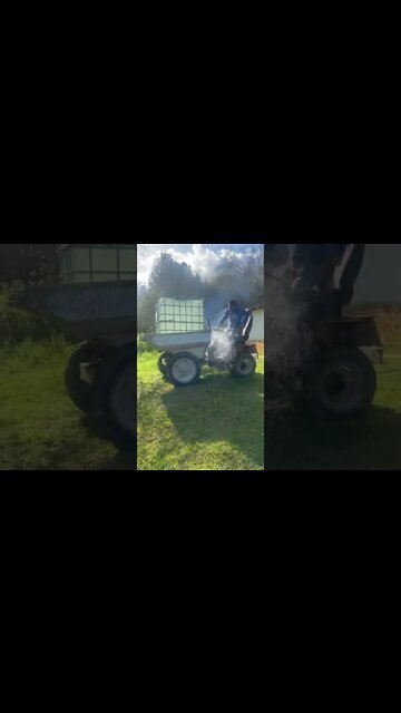 funny|prank|jokes|funny jokes|dad jokes|funny memes|funny video|fun|laughing|funny animal|knock