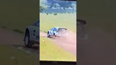 Dirt Rally 2.0 Crash