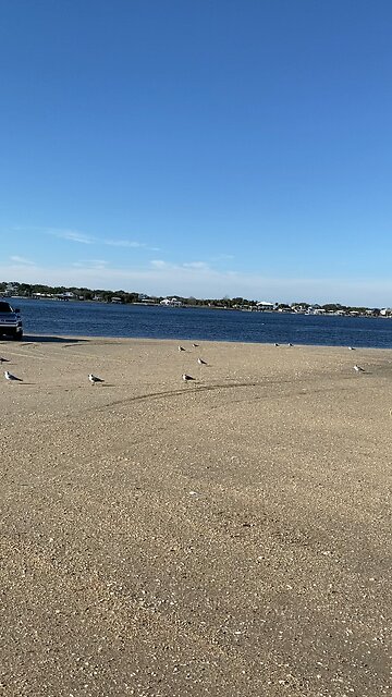 "Hobo Beach" Mayport