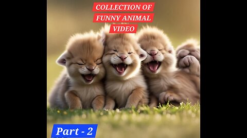 Collection of Funny Videos Part - 2!!!!