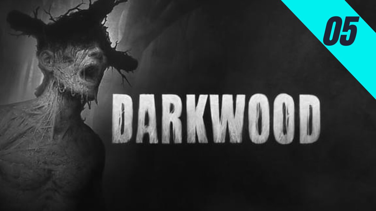 Pehilux Jogando Darkwood - 05