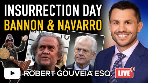 Insurrection Episode #1 Debrief; Bannon Amicus; Navarro Needs a Lawyer