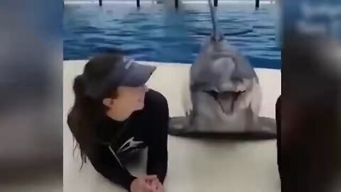 new funny animals