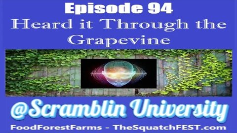 @Scramblin University - Episode 94 - Heard it Through the Grapevine