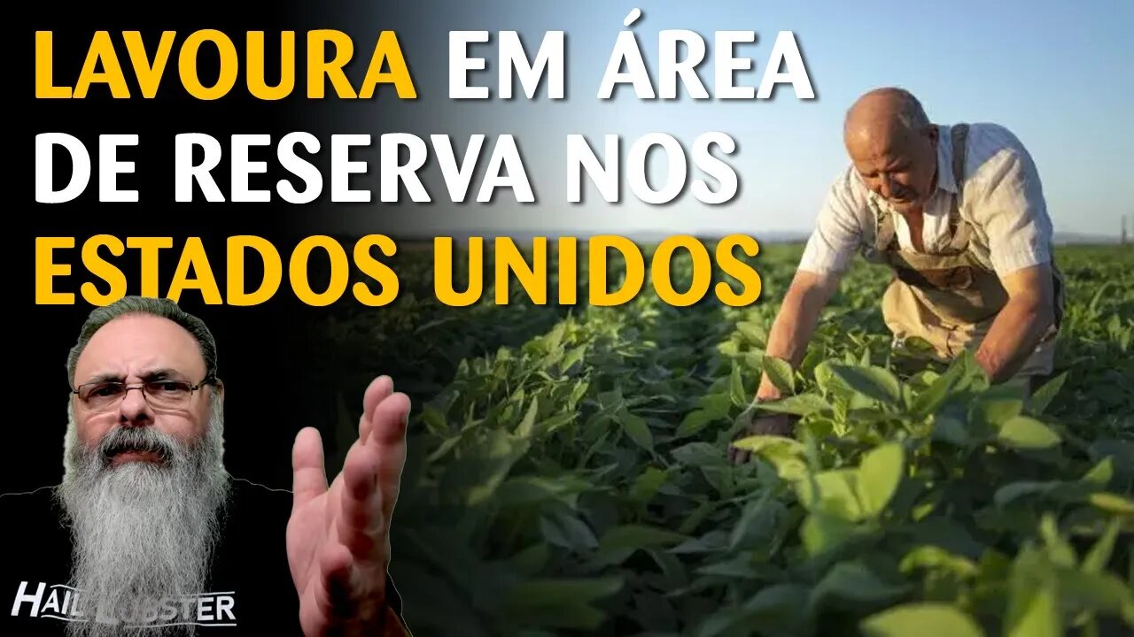 ESTADOS UNIDOS libera agricultura em ÁREAS DE RESERVA AMBIENTAL devido a risco de FOME