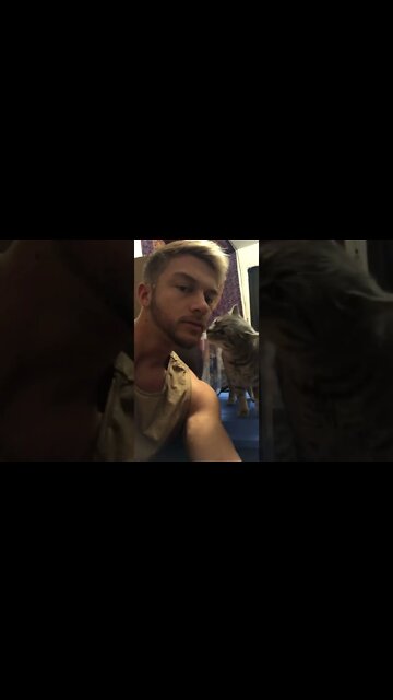 Cute kitty sniffing my face