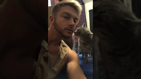 Cute kitty sniffing my face