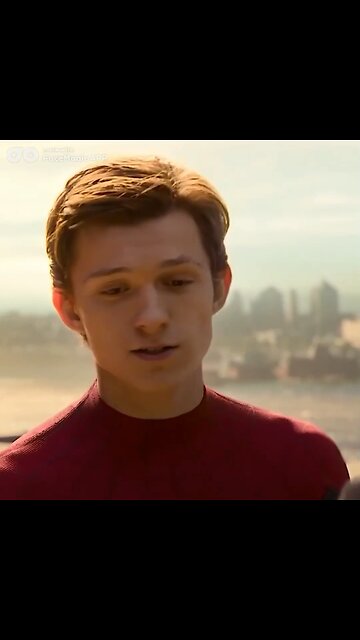 Spider-Man Wants To Be Like Donald Trump Meme!