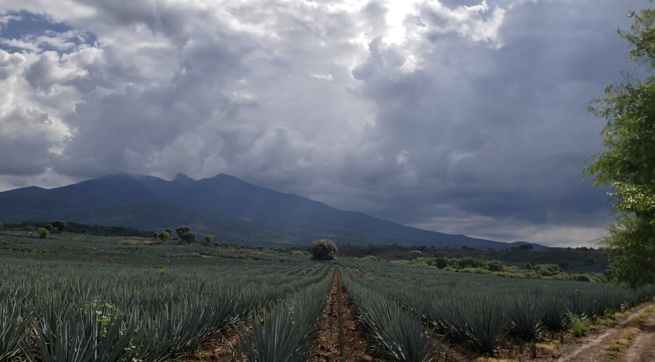 The Majestic Skies: A Cloudscape Journey"