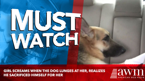 Girl Screams When The Dog Lunges At Her, Realizes He Sacrificed Himself For Her