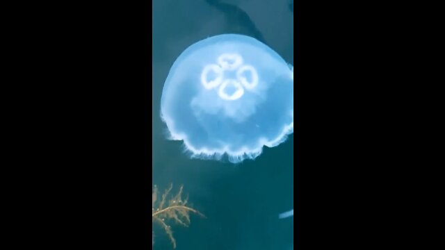 Cool