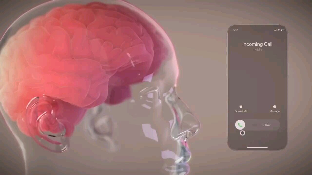Human wonders