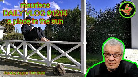maurieos DAILY VLOG #1214 a place in the sun