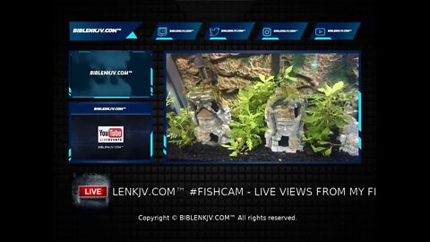 BIBLENKJV.COM™ #FISHCAM