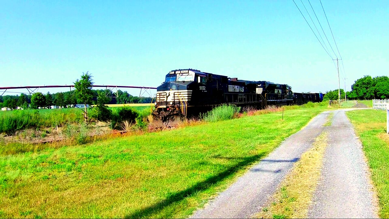 Train Hopping Adventure