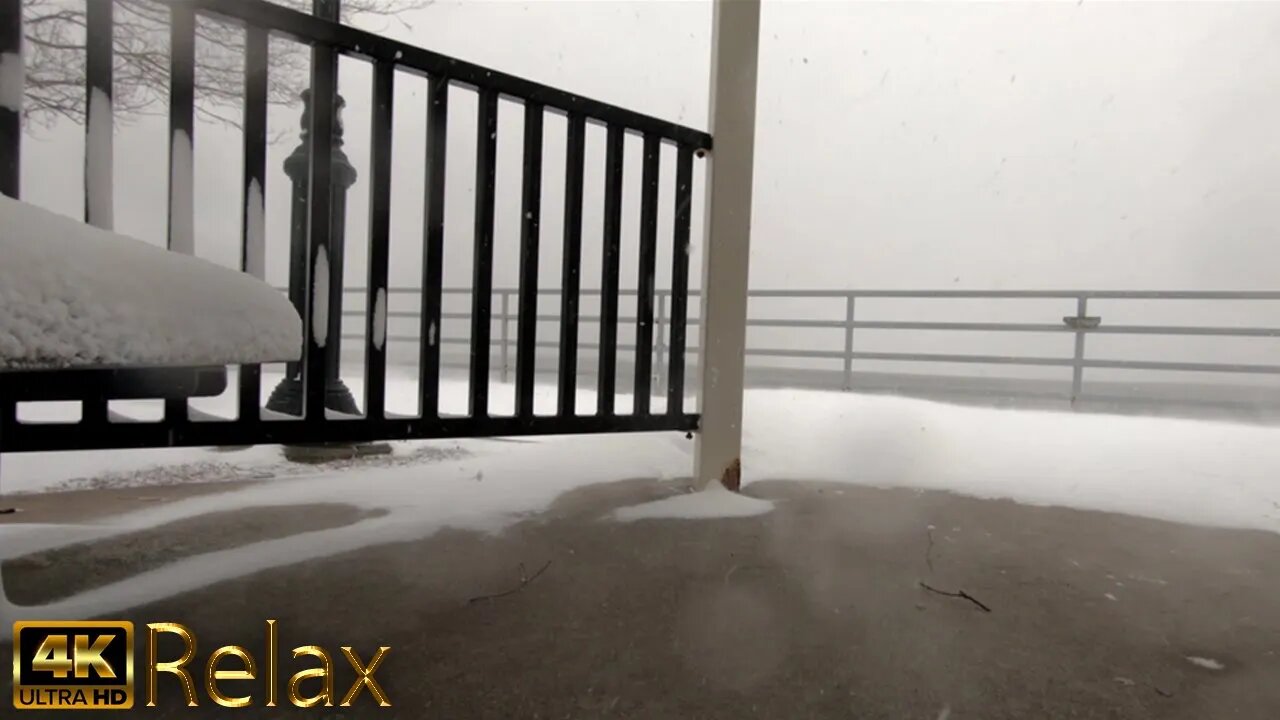 Blizzard Sounds - Winter Storm At the Docks Two