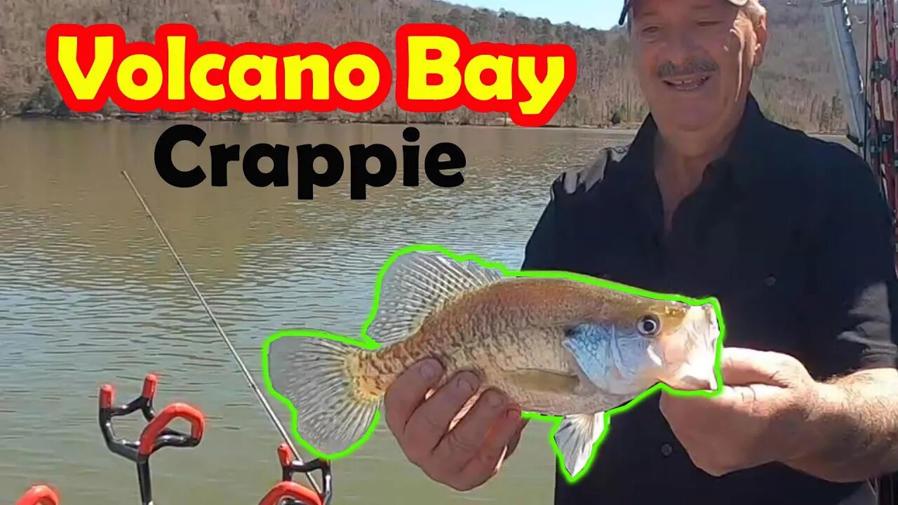 I'm Back! Catchin Crappies in Volcano Bay on Guntersville Lake