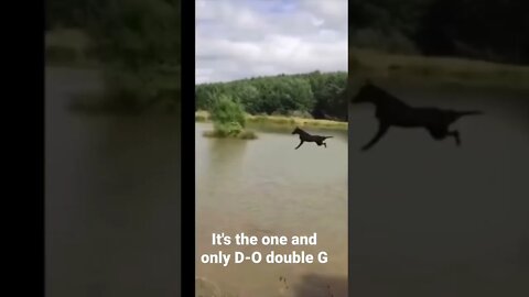 #shorts It's the one and only D-O double G