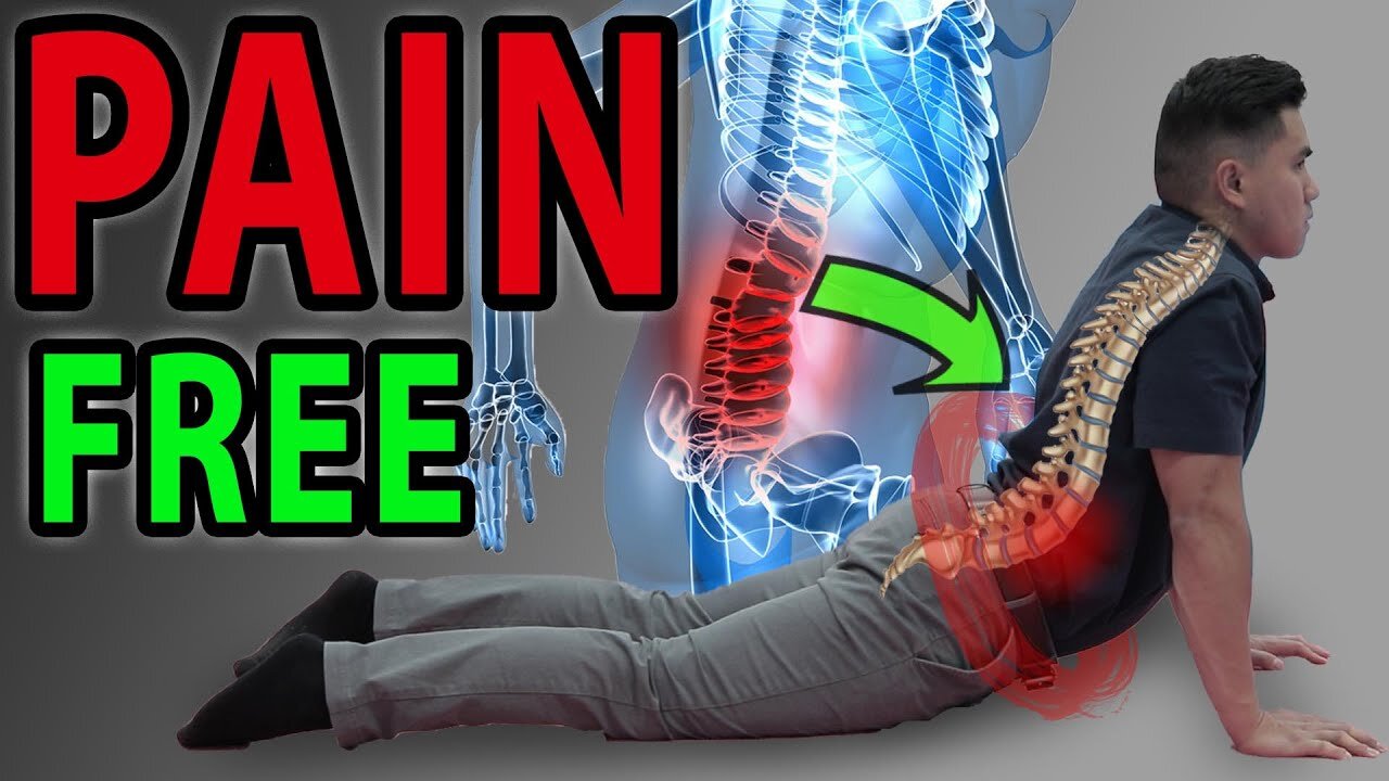 6 ABSOLUTE BEST EXERCISES FOR LOW BACK PAIN | SIJ , FACET SYNDROME MOBILISATION , LUMBAR PAIN