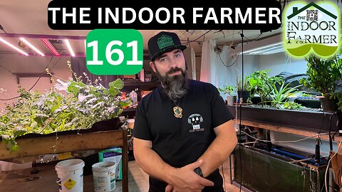 The Indoor Farmer ep 161, The Hunt Is Back On...