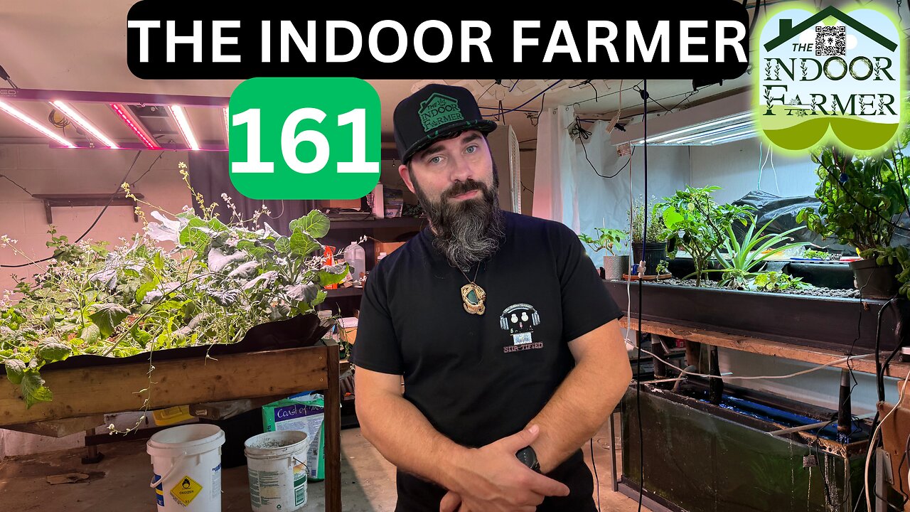 The Indoor Farmer ep 161, The Hunt Is Back On...