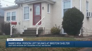 Health department looking for who dropped off skunks in Bristow