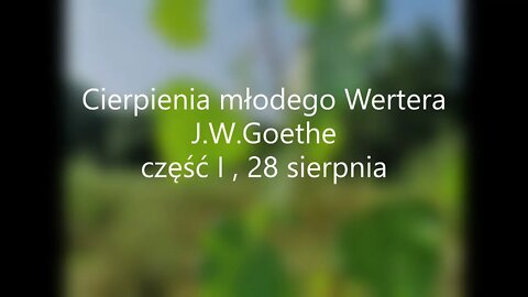 Cierpienia młodego Wertera - J.W.Goethe 28 sierpnia