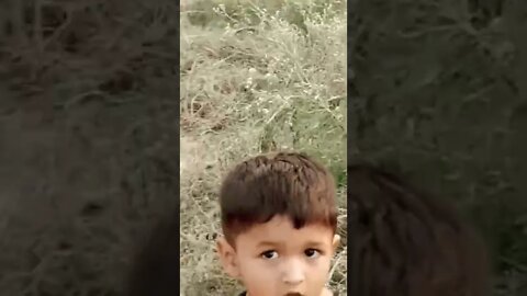 my best friend ❤️#ytshorts #rudrakrishna #dog #dogshorts #trending