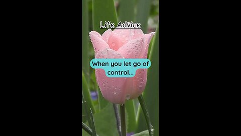 When you let go of control…