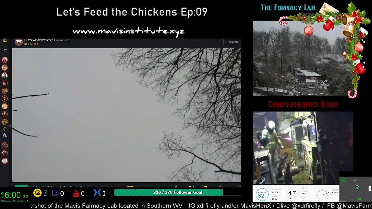 Let's Feed the Chickens - Ep:09 - Crypto, 501(3)C and more