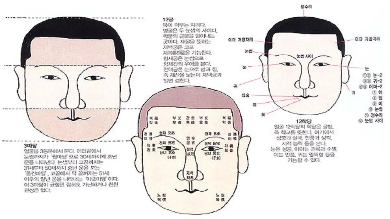복이 있는 관상은 어떤 얼굴인가 마의천 얼굴의 균형과 운명 좌측 아버지 우측 어머니 남자 기준