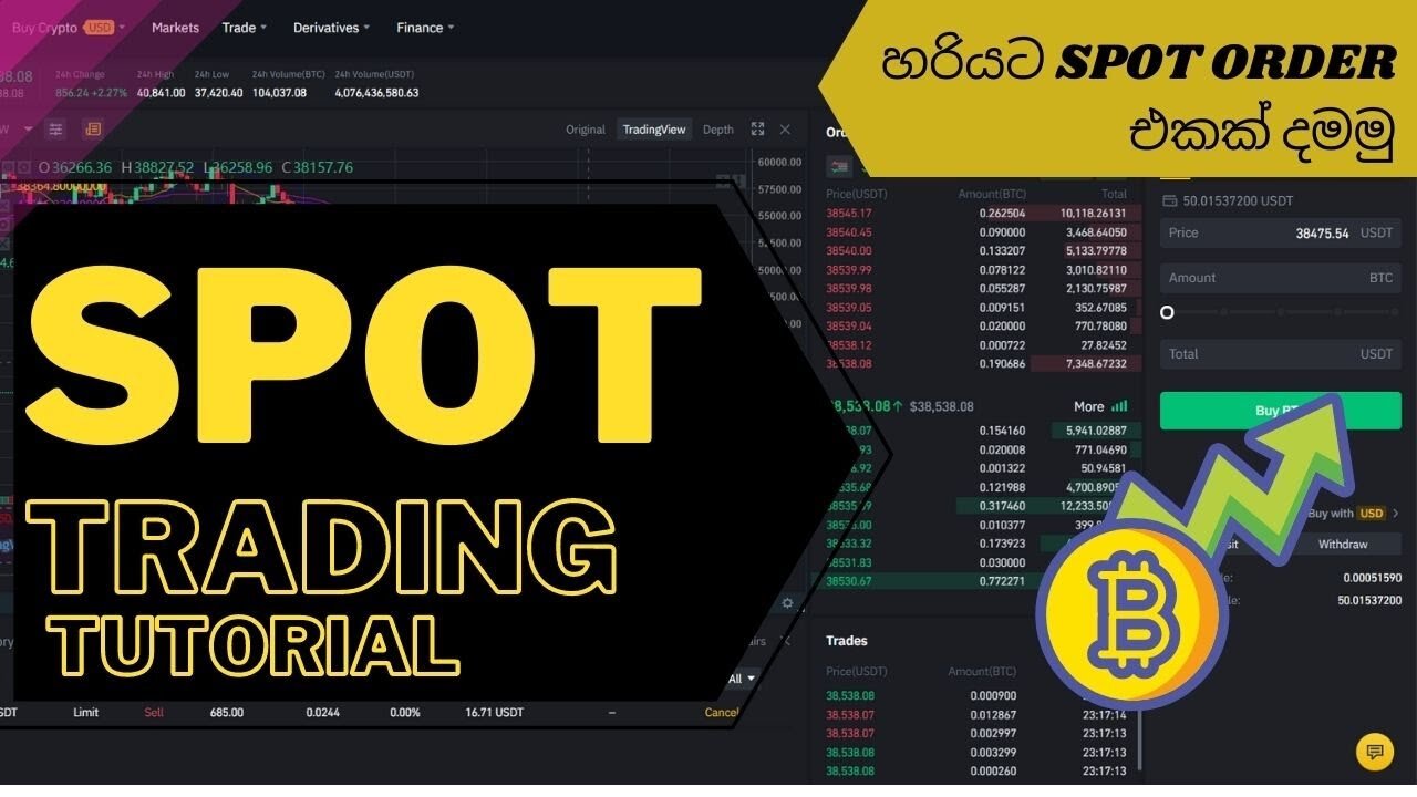 Binance Spot Trading For Beginners How to Place Spot Trading in Sinhala Binance Tutorial