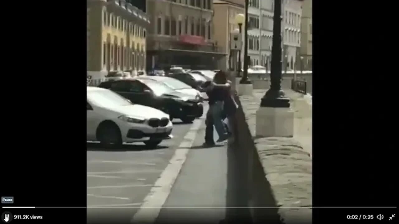 When you try to steal a purse, make sure it's not a Special Forces Operator holding it !